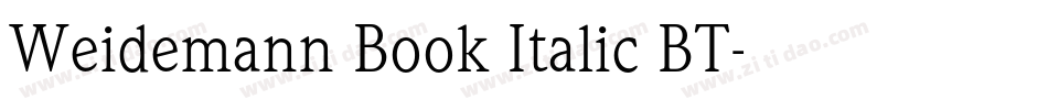 Weidemann Book Italic BT字体转换